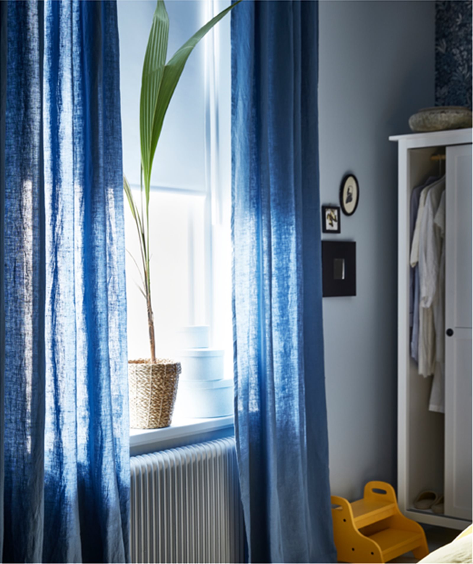 Display Image